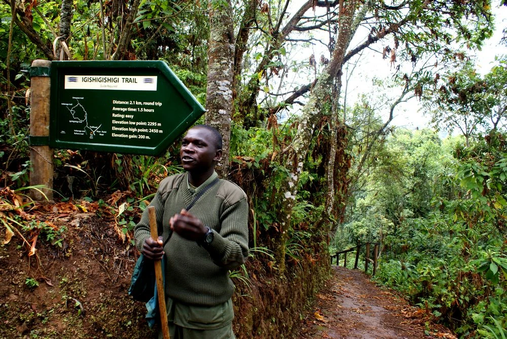 Park ranger guide beside a forest trail signpost, Rwanda